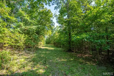 000 County Road 55, Bellerive, MO 63623 - Photo 63