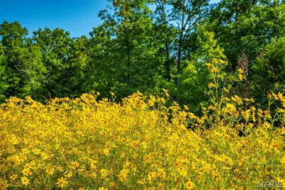 000 County Road 55, Bellerive, MO 63623 - Photo 69
