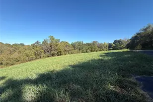183 Cleome Dr, Labadie, MO 63055 - Photo 45