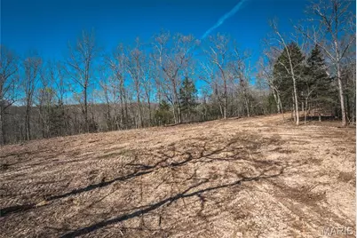 0 Lot H Armadillo Lane, Sullivan, MO 63080 - Photo 3