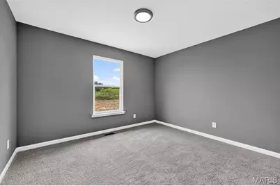 20 Chinkapin Court, Troy, MO 63379 - Photo 29