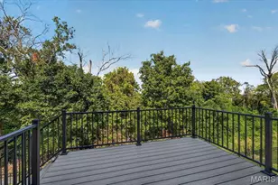823 Silver Buck Ln, Chesterfield, MO 63005 - Photo 47