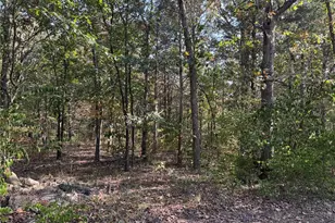 11679 State Route 21, Hillsboro, MO 63050 - Photo 15