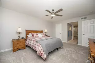 590 Sarah Ln, Saint Louis, MO 63141 - Photo 29