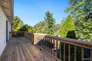 2394 Baxton Way, Chesterfield, MO 63017 - Photo 29