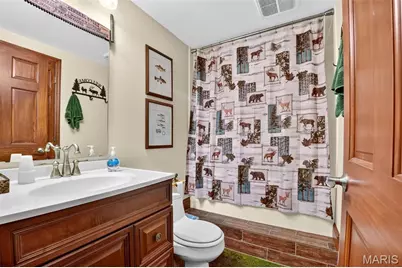 6388 Salamone Road, Cedar Hill, MO 63016 - Photo 47