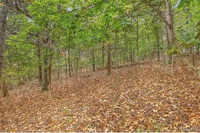 Lot 66A Lake Hill Trail, Hillsboro, MO 63050 - Photo 3