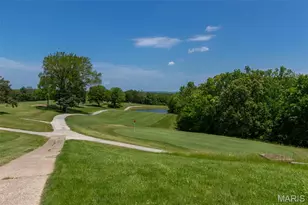 Lot 66A Lake Hill Trail, Hillsboro, MO 63050 - Photo 25