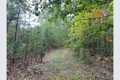 250.96 +/- Delbridge Road, Potosi, MO 63664 - Photo 19