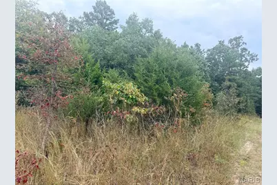 250.96 +/- Delbridge Road, Potosi, MO 63664 - Photo 13