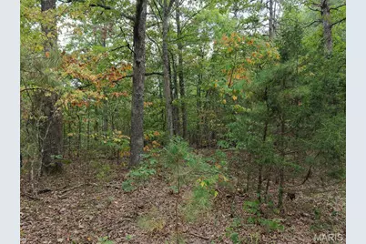 250.96 +/- Delbridge Road, Potosi, MO 63664 - Photo 17