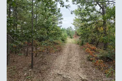 250.96 +/- Delbridge Road, Potosi, MO 63664 - Photo 15
