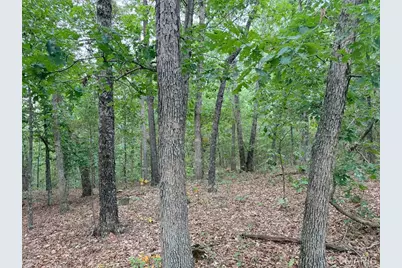 250.96 +/- Delbridge Road, Potosi, MO 63664 - Photo 27