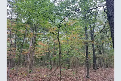250.96 +/- Delbridge Road, Potosi, MO 63664 - Photo 29