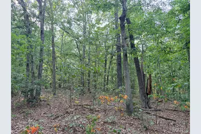 250.96 +/- Delbridge Road, Potosi, MO 63664 - Photo 33