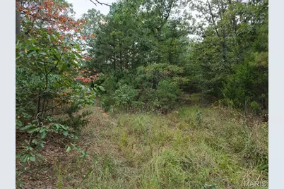 250.96 +/- Delbridge Road, Potosi, MO 63664 - Photo 9