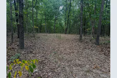 01 Summit Pipeline Dr, Cadet, MO 63630 - Photo 43