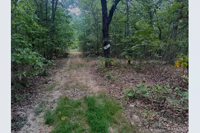 01 Summit Pipeline Dr, Cadet, MO 63630 - Photo 41