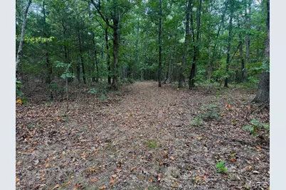 01 Summit Pipeline Dr, Cadet, MO 63630 - Photo 47