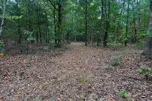 01 Summit Pipeline Dr, Cadet, MO 63630 - Photo 47