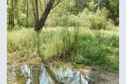 0 Joachim Creek, Herculaneum, MO 63070 - Photo 3