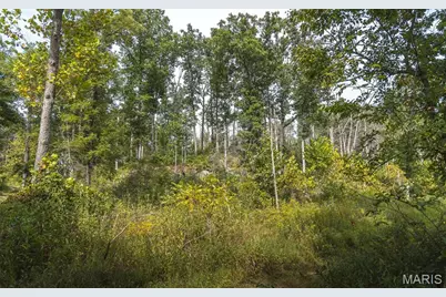 31665 County Road 6630, Beulah, MO 65436 - Photo 67