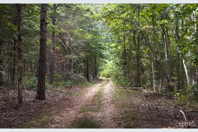 31665 County Road 6630, Beulah, MO 65436 - Photo 61