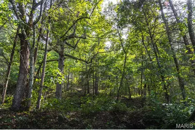 31665 County Road 6630, Beulah, MO 65436 - Photo 69