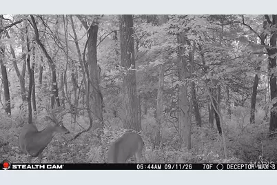 0 Russell Rd. (Tract 5 - 24.80+/- Acres), Troy, MO 63379 - Photo 21