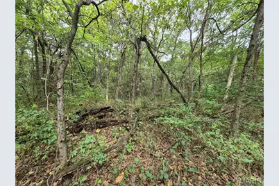 0 Russell Rd. (Tract 5 - 24.80+/- Acres), Troy, MO 63379 - Photo 15