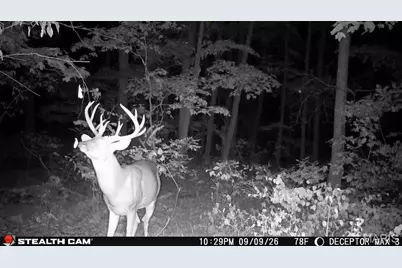 0 Russell Rd. (Tract 5 - 24.80+/- Acres), Troy, MO 63379 - Photo 11