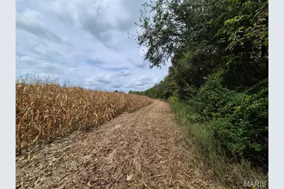 0 Russell Rd. (Tract 5 - 24.80+/- Acres), Troy, MO 63379 - Photo 3