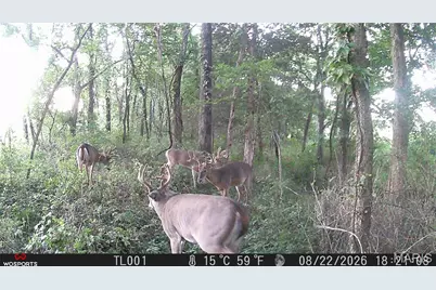 0 Russell Rd. (Tract 6 - 26+/- Acres), Troy, MO 63379 - Photo 23