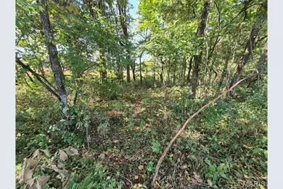 0 Russell Rd. (Tract 6 - 26+/- Acres), Troy, MO 63379 - Photo 13