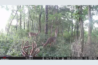0 Russell Rd. (Tract 6 - 26+/- Acres), Troy, MO 63379 - Photo 25