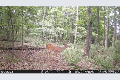 0 Russell Rd. (Tract 6 - 26+/- Acres), Troy, MO 63379 - Photo 17