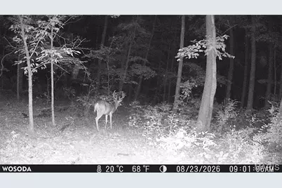 0 Russell Rd. (Tract 6 - 26+/- Acres), Troy, MO 63379 - Photo 19