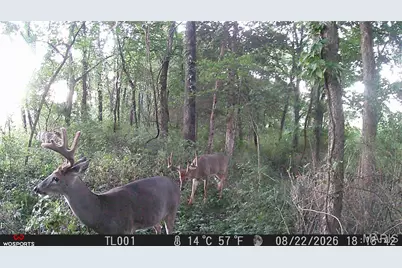 0 Russell Rd. (Tract 6 - 26+/- Acres), Troy, MO 63379 - Photo 15