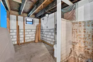 433 Day Dr, Saint Louis, MO 63135 - Photo 59