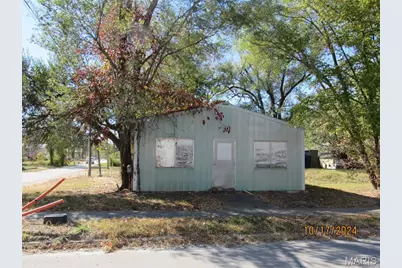 301 Delaware Street, Louisiana, MO 63353 - Photo 3
