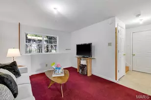 306 Chicago St, Saint Louis, MO 63122 - Photo 37