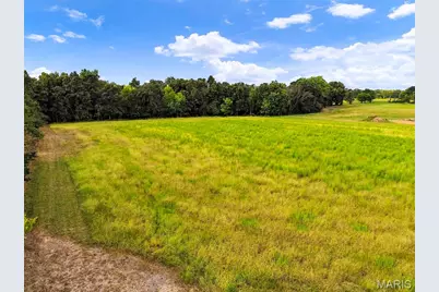 11304 Windsor Place, Wright City, MO 63390 - Photo 3