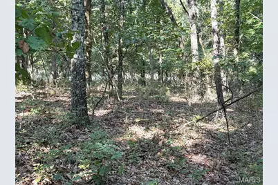 19017 Old Wild Turkey Lane, Wildwood, MO 63069 - Photo 7
