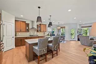 247 Cambium Ct, Saint Charles, MO 63385 - Photo 19
