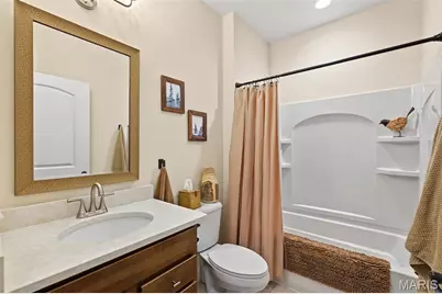 247 Cambium Court, Saint Charles, MO 63385 - Photo 23