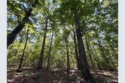 0 County Road 502, Washington, MO 63638 - Photo 25