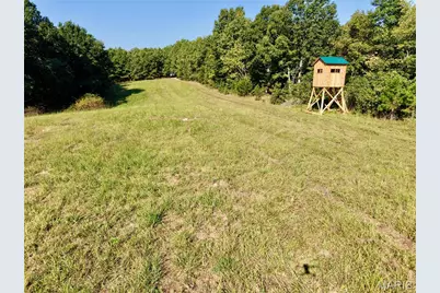 0 County Road 502, Washington, MO 63638 - Photo 7