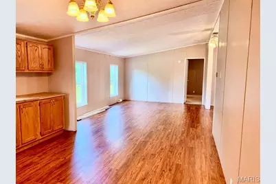 435 Head Lane, Hannibal, MO 63401 - Photo 33