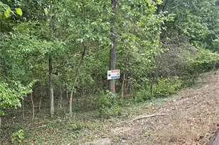 5195 Hillsboro Hematite Rd, De Soto, MO 63020 - Photo 1