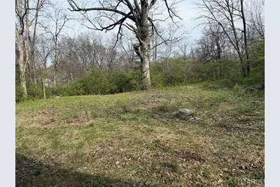 1925 W Woodbine Avenue, Kirkwood, MO 63122 - Photo 3